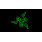 RAZER