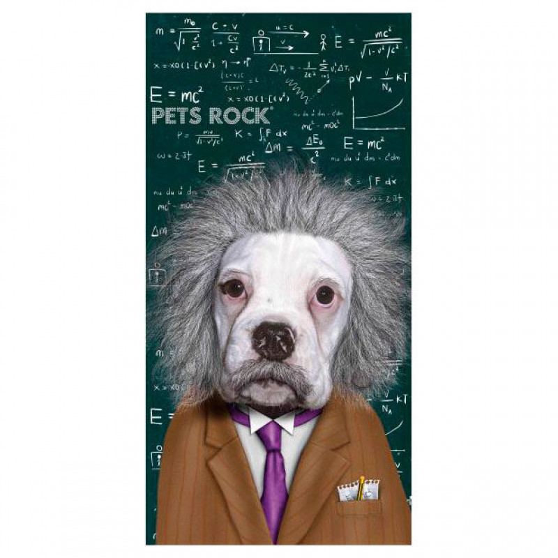 Πετσέτα Θαλάσσης Astro Pets Rock Einstein Dog - 150 x 75 cm