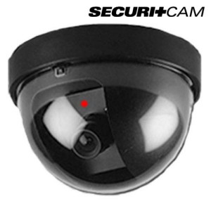 Ψεύτικη κάμερα ασφαλείας Domo Securitcam